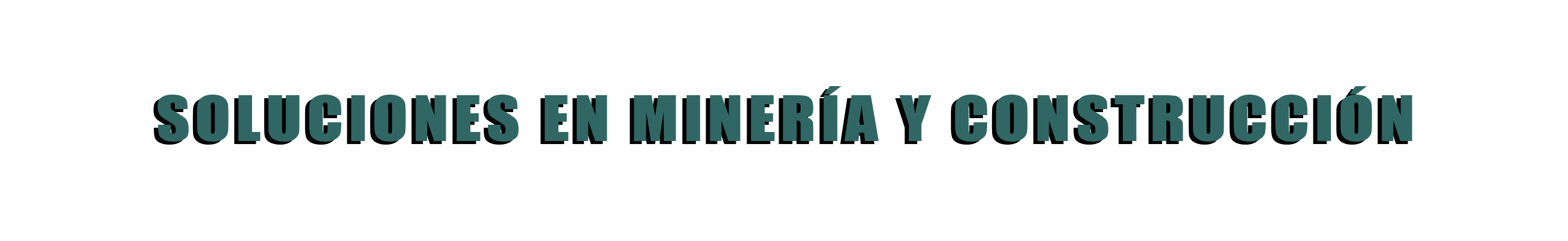bajo baner